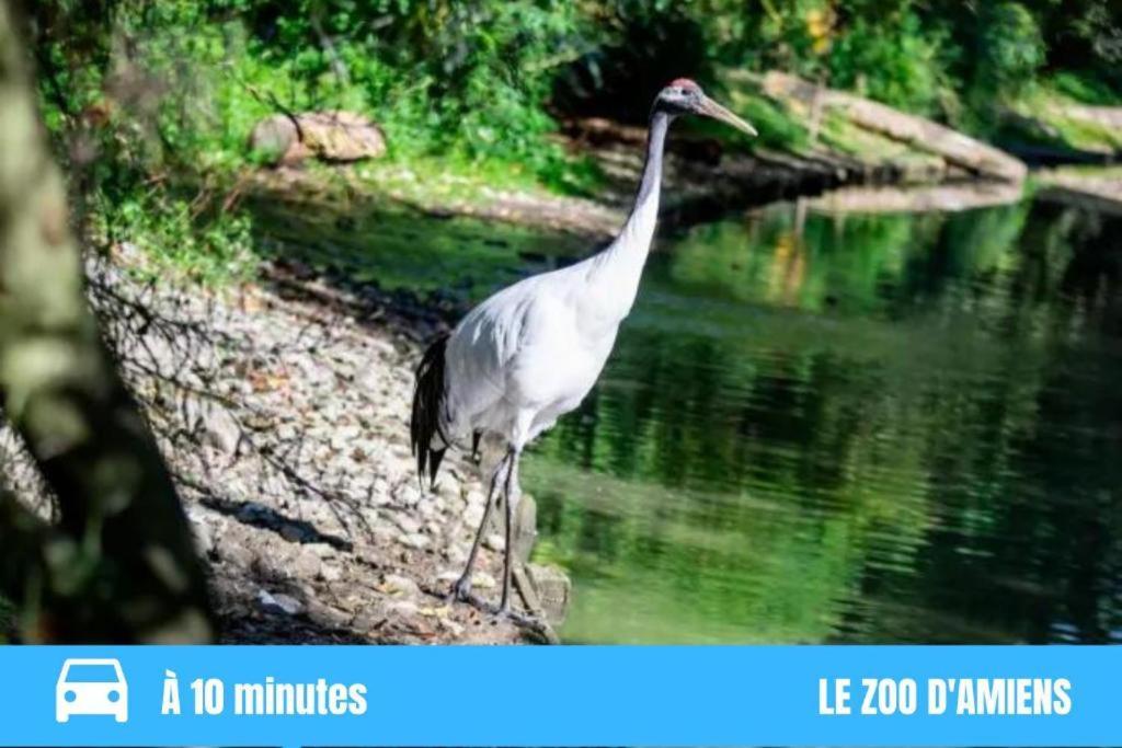 Grand Studio Amiens Gare Tout Confort Wifi Netflix 2Pers Luaran gambar